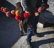 Tradicinė avininkystė Portugalijoje