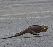 Pirmasis visi&scaron;kai ekologi&scaron;kas oro uostas pasaulyje 