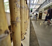 Pirmasis visi&scaron;kai ekologi&scaron;kas oro uostas pasaulyje 