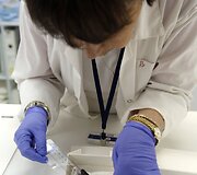 Izraelyje ant apdegusio ritinėlio rasti seniausi biblijos įra&scaron;ai