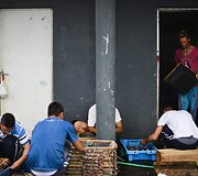 Tradicine žuvininkyste besiverčiančių portugalų bendruomenės gyvenimas