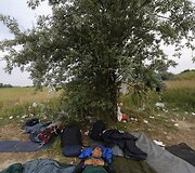 Kur papuola nakvojantys migrantai Europoje