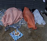 Kur papuola nakvojantys migrantai Europoje