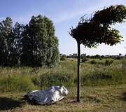 Kur papuola nakvojantys migrantai Europoje