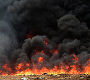 Panamoje naikinamos konfiskuotos narkotinės medžiagos