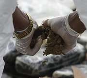 Panamoje naikinamos konfiskuotos narkotinės medžiagos