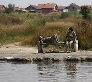 Medicininiu purvu i&scaron;sitepusios serbės