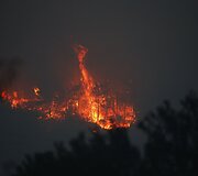 Mi&scaron;ko gaisrai Kroatijoje 