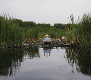 Rio de Žaneiro paplūdimiai su krūvomis &scaron;iuk&scaron;lių