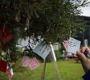 Jaunieji Norvegijos politiniai aktyvistai Utojos saloje