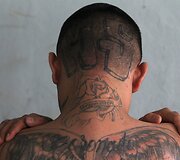 &bdquo;Mara Salvatrucha&ldquo; &ndash; tarptautinė gauja kilusi Kalifornijoje