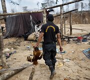 Peru policija naikina nelegalias aukso kasyklas