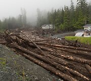 Potvynis ir purvo nuo&scaron;liauža Aliaskoje