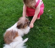 Mergaitė ir &scaron;uo