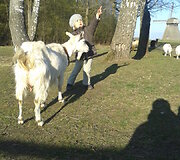 Pažvelk į žvaigždes!