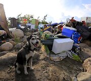 Kolumbiečiai bėga i&scaron; sieną uždariusios Venesuelos per Tačyro upę