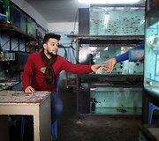 Mechanikas Antonio Sanchezas dirba savo tėvų žuvų parduotuvėje