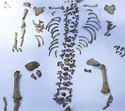 Pompėjoje atliekami archeologiniai kasinėjimai ir jų radiniai
