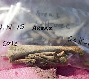 Pompėjoje atliekami archeologiniai kasinėjimai ir jų radiniai