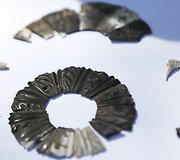 Pompėjoje atliekami archeologiniai kasinėjimai ir jų radiniai