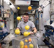 Astronautas atplė&scaron;ia &scaron;viežių vaisių siuntinį