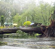 Taifūnas &bdquo;Goni&ldquo; Filipinuose