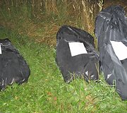 Surinktų kanapių mai&scaron;ai