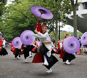 &Scaron;okio festivalis Japonijoje