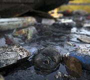 Nuotekomis ir &scaron;iuk&scaron;lėmis užter&scaron;tas Rio de Žaneiro vandenys
