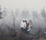 Mi&scaron;ko gaisrai Indonezijoje paskandino miestus dūmuose
