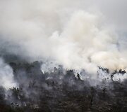 Mi&scaron;ko gaisrai Indonezijoje paskandino miestus dūmuose