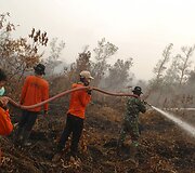 Mi&scaron;ko gaisrai Indonezijoje paskandino miestus dūmuose