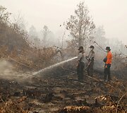Mi&scaron;ko gaisrai Indonezijoje paskandino miestus dūmuose