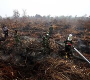 Mi&scaron;ko gaisrai Indonezijoje paskandino miestus dūmuose