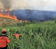 Mi&scaron;ko gaisrai Indonezijoje paskandino miestus dūmuose
