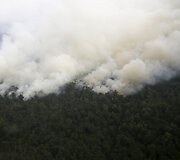 Mi&scaron;ko gaisrai Indonezijoje paskandino miestus dūmuose