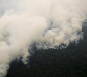 Mi&scaron;ko gaisrai Indonezijoje paskandino miestus dūmuose