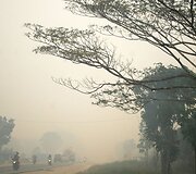 Mi&scaron;ko gaisrai Indonezijoje paskandino miestus dūmuose