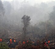 Mi&scaron;ko gaisrai Indonezijoje paskandino miestus dūmuose