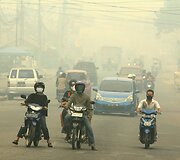 Mi&scaron;ko gaisrai Indonezijoje paskandino miestus dūmuose