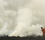 Mi&scaron;ko gaisrai Indonezijoje paskandino miestus dūmuose