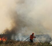 Mi&scaron;ko gaisrai Indonezijoje paskandino miestus dūmuose
