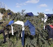 Migrantai &bdquo;Naujosiose džiunglėse&ldquo; &ndash; stovyklavietėje prie Kalė Prancūzijoje