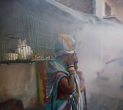 Indijos sostinė pur&scaron;kiama priemone nuo uodų perne&scaron;ančių dengės virusą