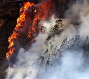 Prie Ekvadoro sostinės dega didžiuliai mi&scaron;ko plotai