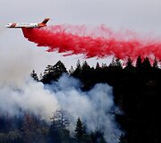 Lėktuvas pila ugnį sulaikančią medžiagą Kalifornijoje