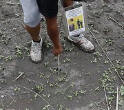 Masinių kapaviečių ie&scaron;koma ir pagal skleidžiamą yrančių kūnų kvapą