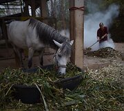 Vienuolynas Tailande jaunuoliams padeda i&scaron;vengti arba atsikratyti priklausomybės nuo narkotikų