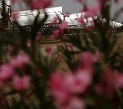 Didžiausia pasaulyje saulės energijos jėgainė Ispanijoje