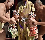 Japonijoje sumo imtynininkai laiko kūdikius, kuriuos turi turi pravirkdyti